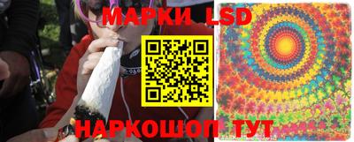 spice Коммунар