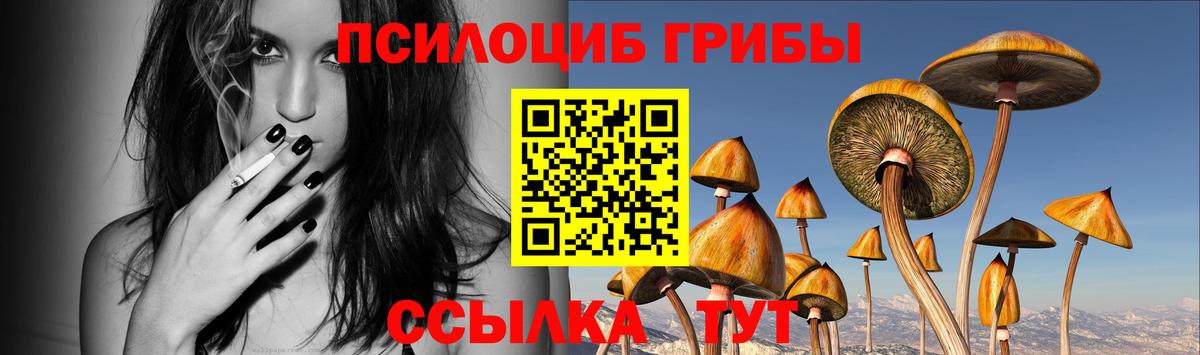 Симферополь  Псилоцибиновые грибы Psilocybine cubensis  Вход с VPN  Галлюциногенные грибы MAGIC MUSHROOMS 